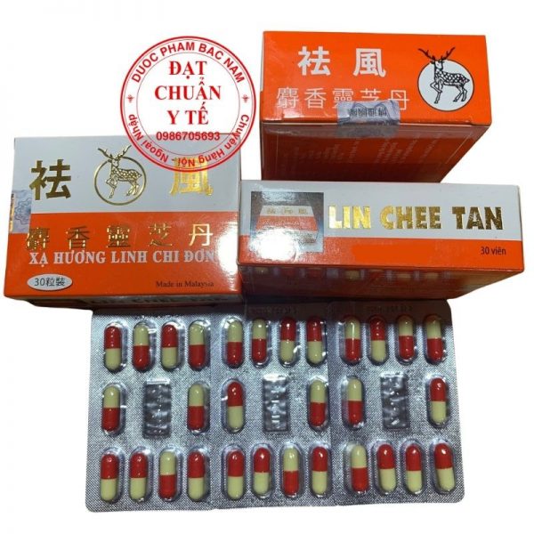 Lin chee tan, xạ hương linh chi đơn Malaysia _ thuốc điều trị xương khớp