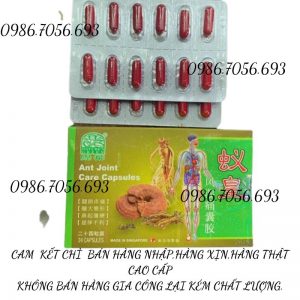 Ant join care capsules, kiện vương Singapore _ thuốc điều trị xương khớp