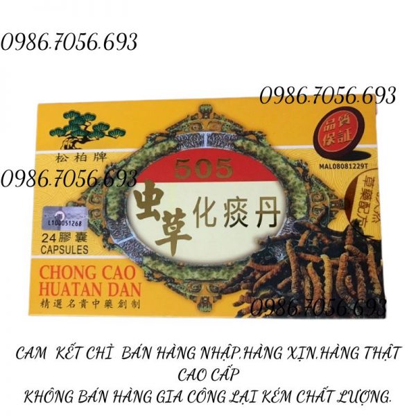 Chong cao huatan dan, ho đông trùng 505 Malaysia _ thuốc trị ho, hen suyễn