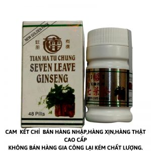 Seven leave ginseng, thất diệp sâm Malaysia loại lọ _ thuốc điều trị xương khớp