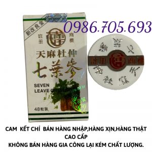 Seven leave ginseng, thất diệp sâm Malaysia loại lọ _ thuốc điều trị xương khớp