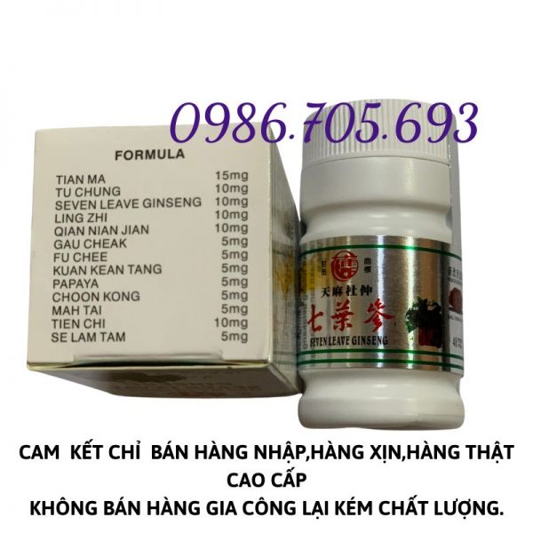 Seven leave ginseng, thất diệp sâm Malaysia loại lọ _ thuốc điều trị xương khớp