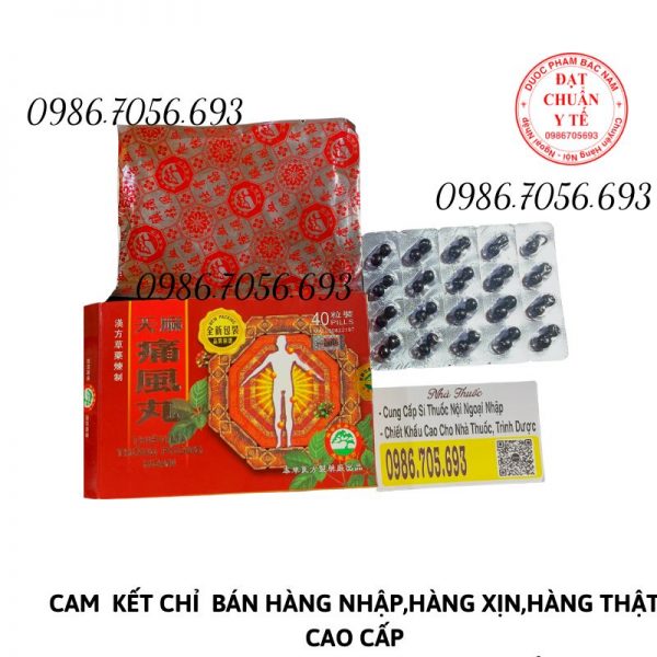 Thiên ma thống phong hoàn Malaysia _ thuốc điều trị xương khớp