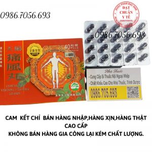 Thiên ma thống phong hoàn Malaysia _ thuốc điều trị xương khớp