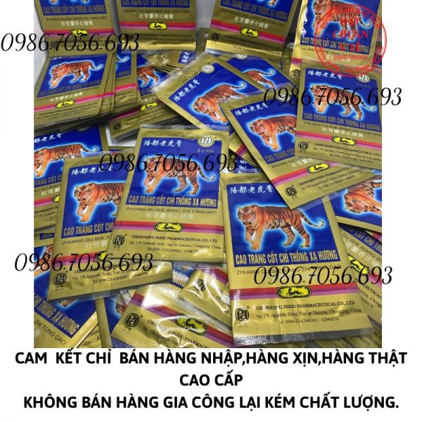 Zhuang gu she xiang zhi tong gao, cao tráng cốt chỉ thống xạ hương _ cao dán, thuốc điều trị xương khớp