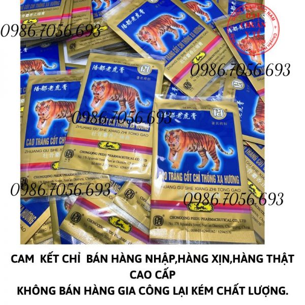 Zhuang gu she xiang zhi tong gao, cao tráng cốt chỉ thống xạ hương _ cao dán, thuốc điều trị xương khớp