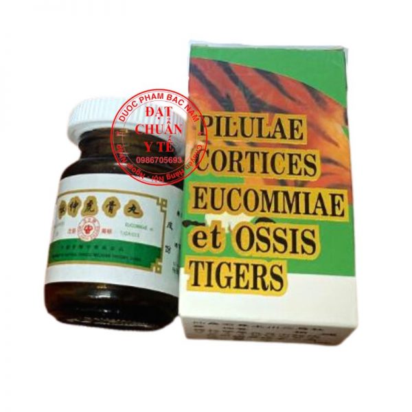 Pilulae cortices eucommiae et ossis tigers, đỗ trọng hổ cốt _điều trị xương khớp